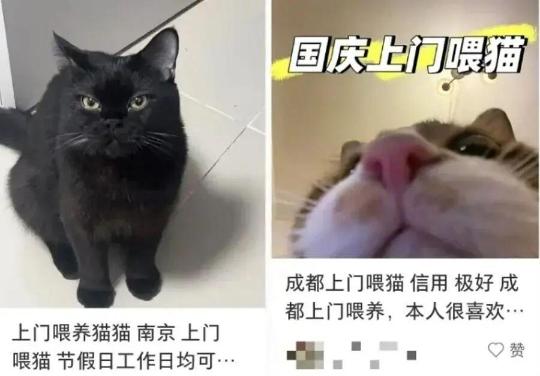 90后男生春节爆赚16万元!每天只睡3小时