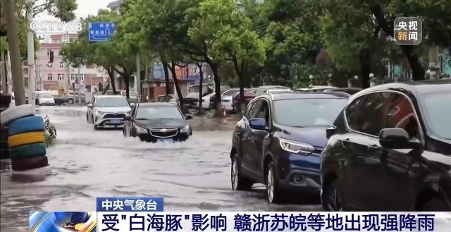 台风“白海豚”北上路径多变 气象专家解读成因